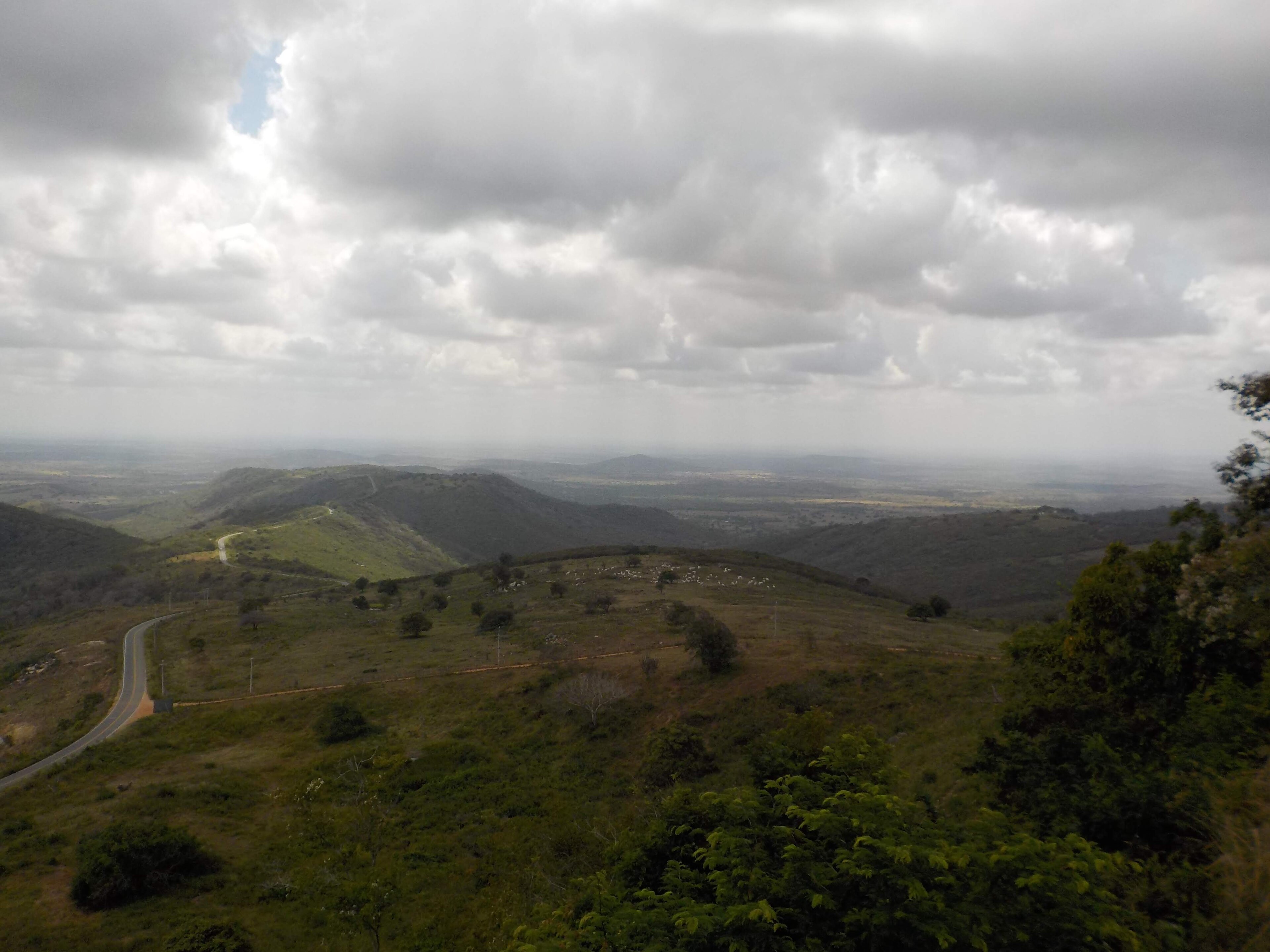 RPPN Fazenda Várzea — Caatinga