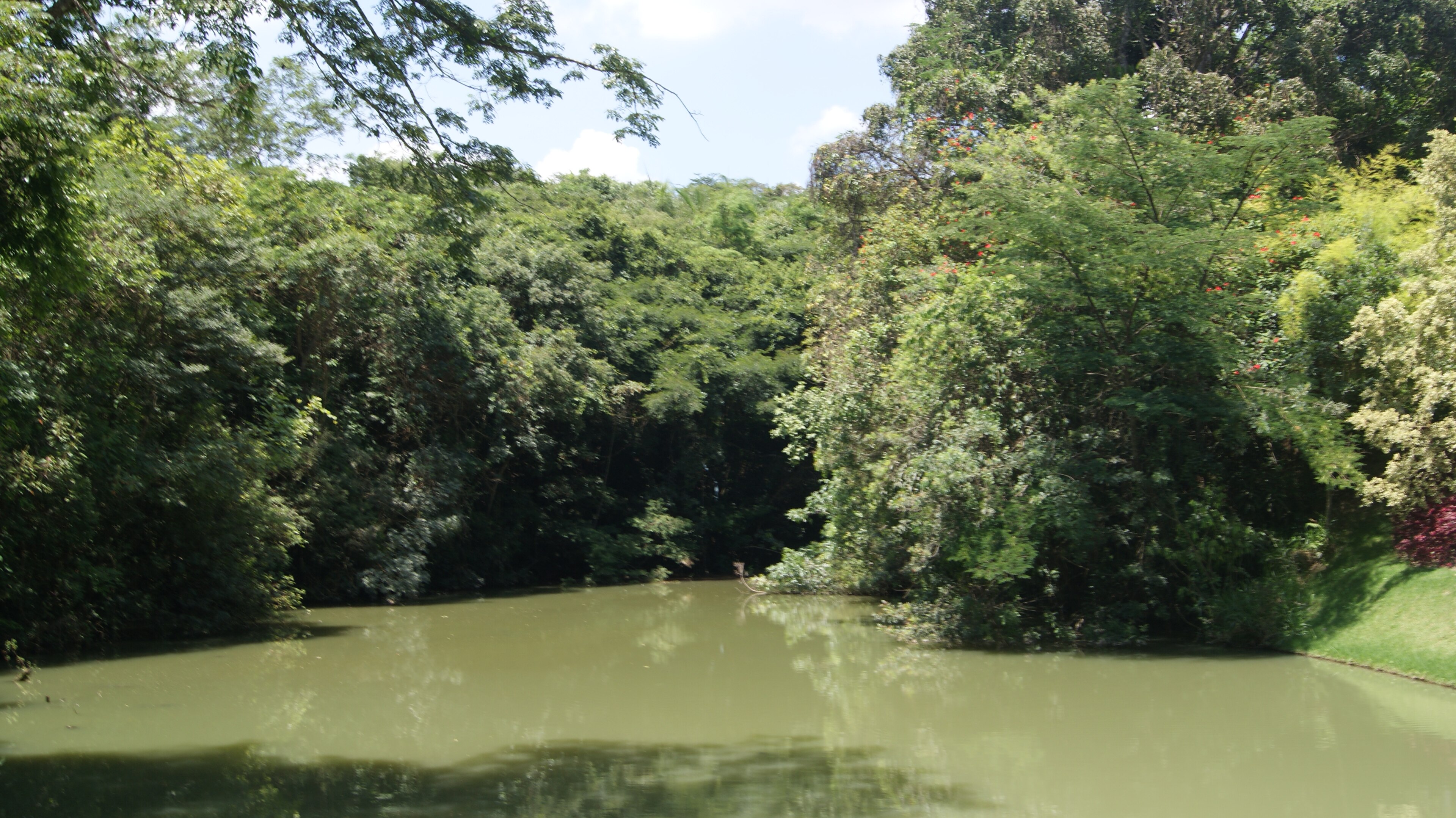 RPPN Inhotim — Mata Atlântica