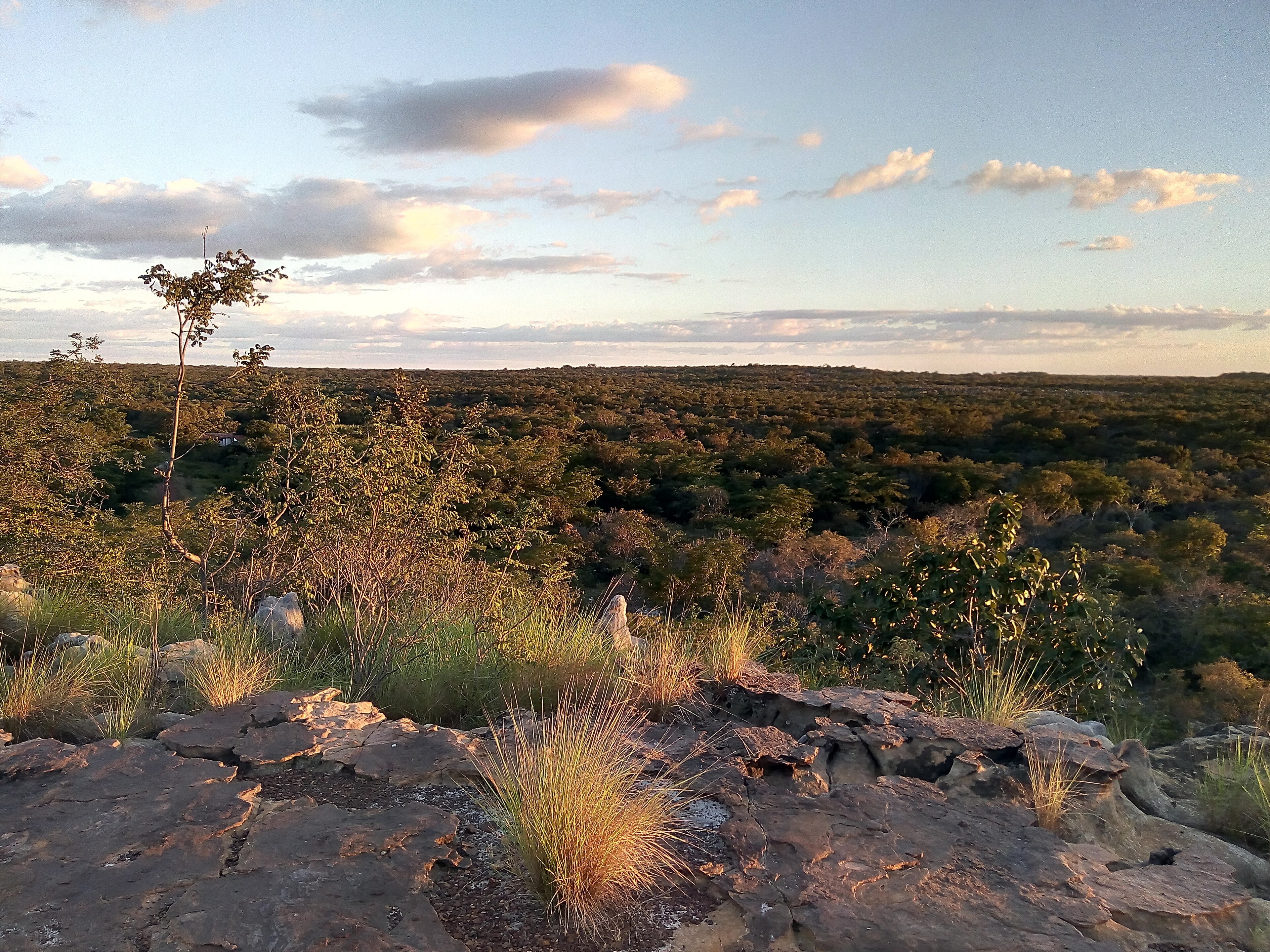 RPPN Marvão — Caatinga
