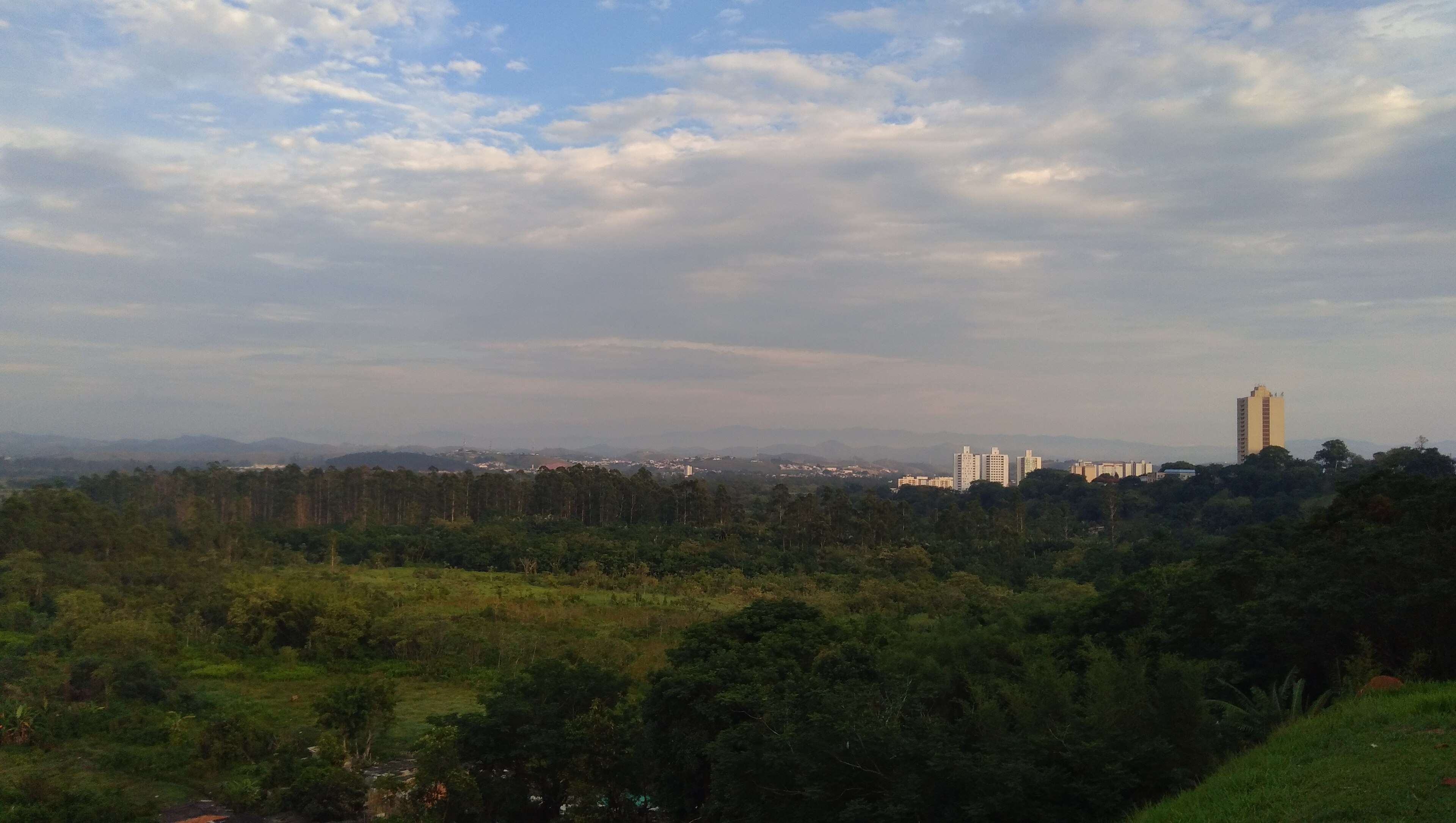 RPPN O Primata — Mata Atlântica