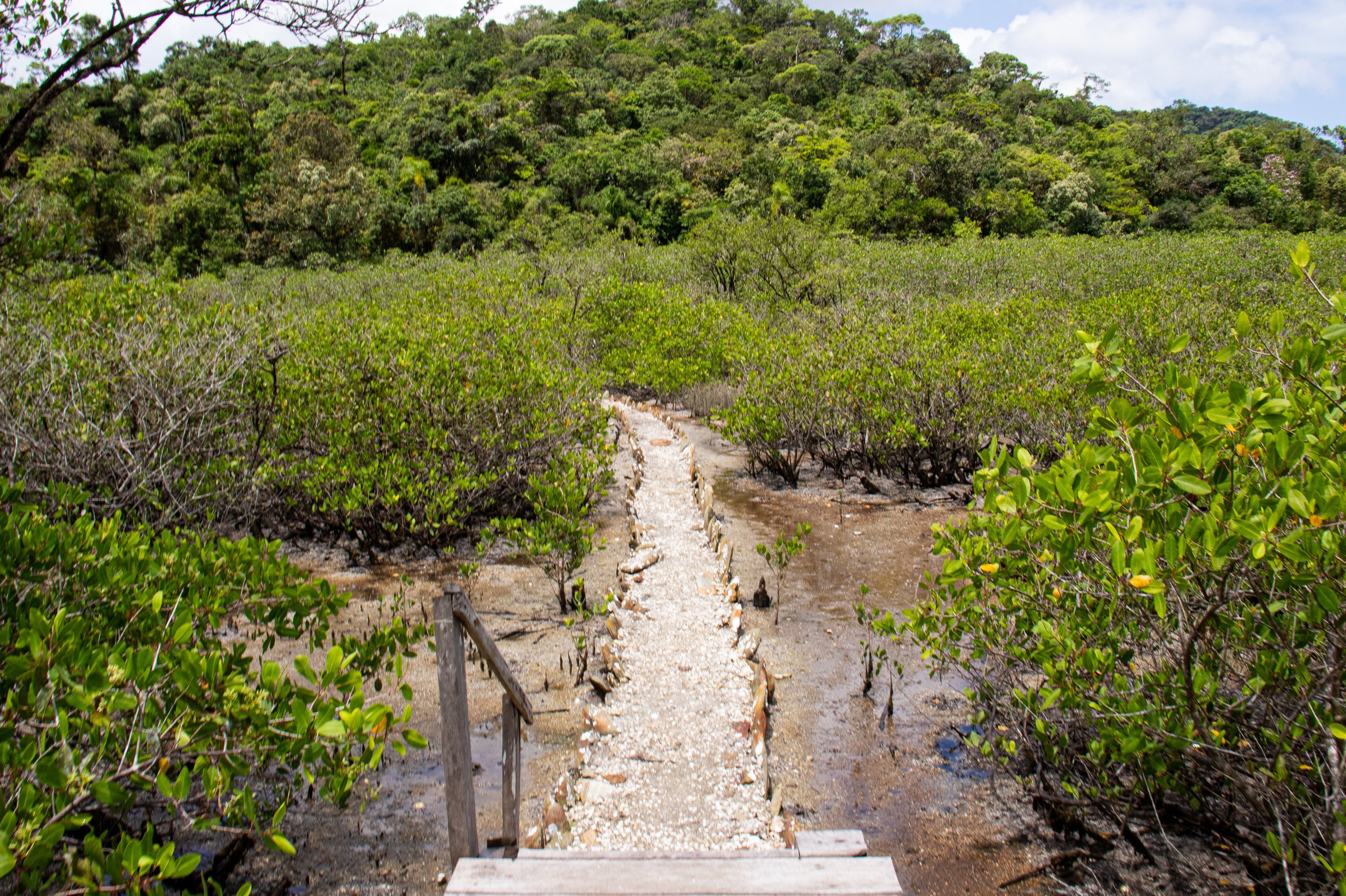 RPPN Reserva Ecológica Sebuí — Mata Atlântica
