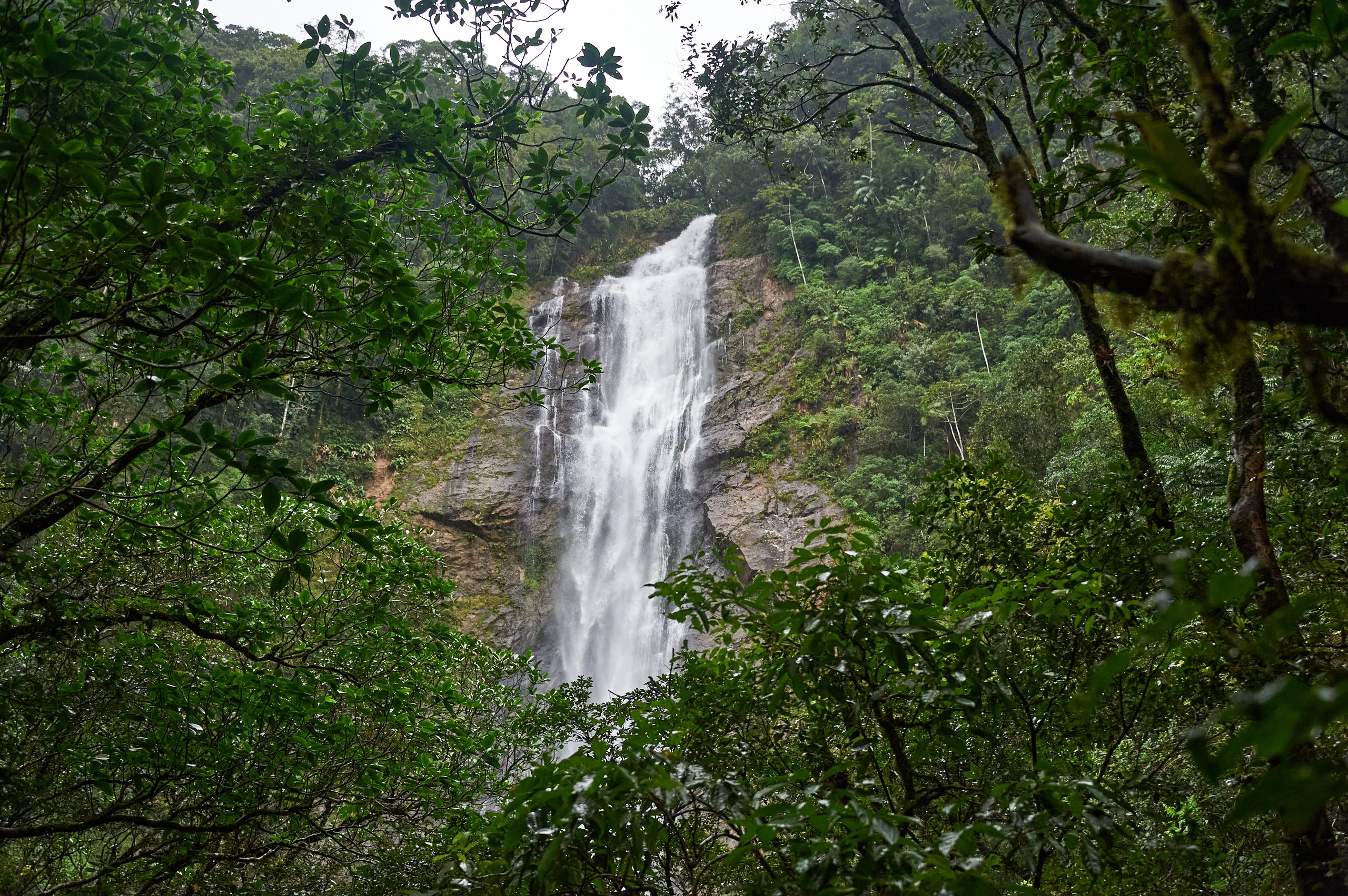 RPPN Salto Morato — Mata Atlântica