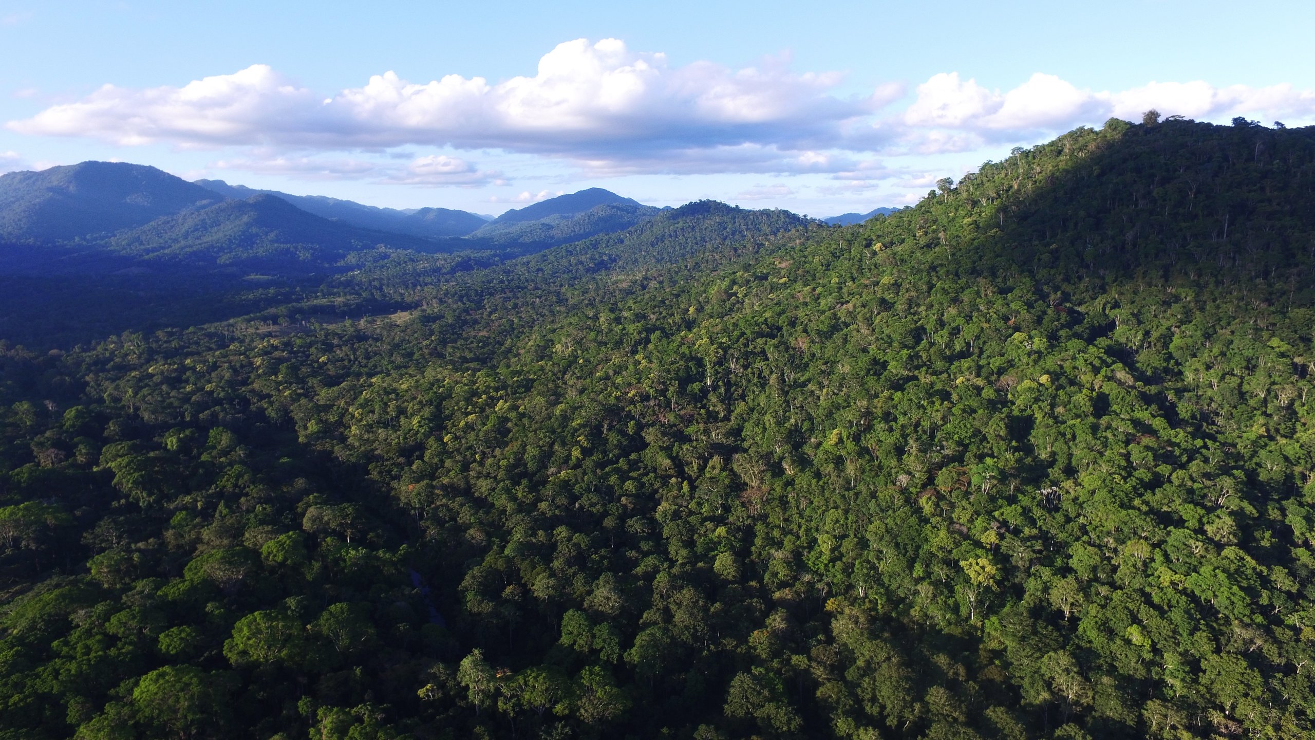 Parque Nacional do Pau Brasil — Mata Atlântica