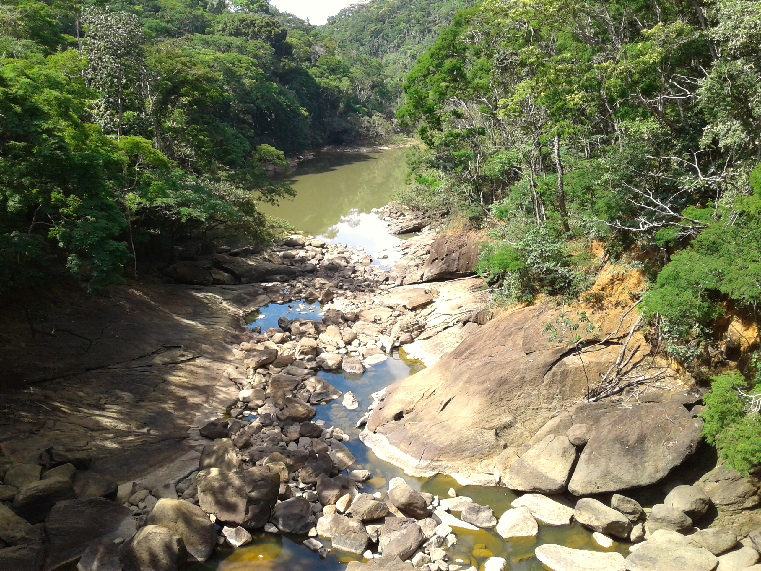 RPPN Usina Mauricio — Mata Atlântica